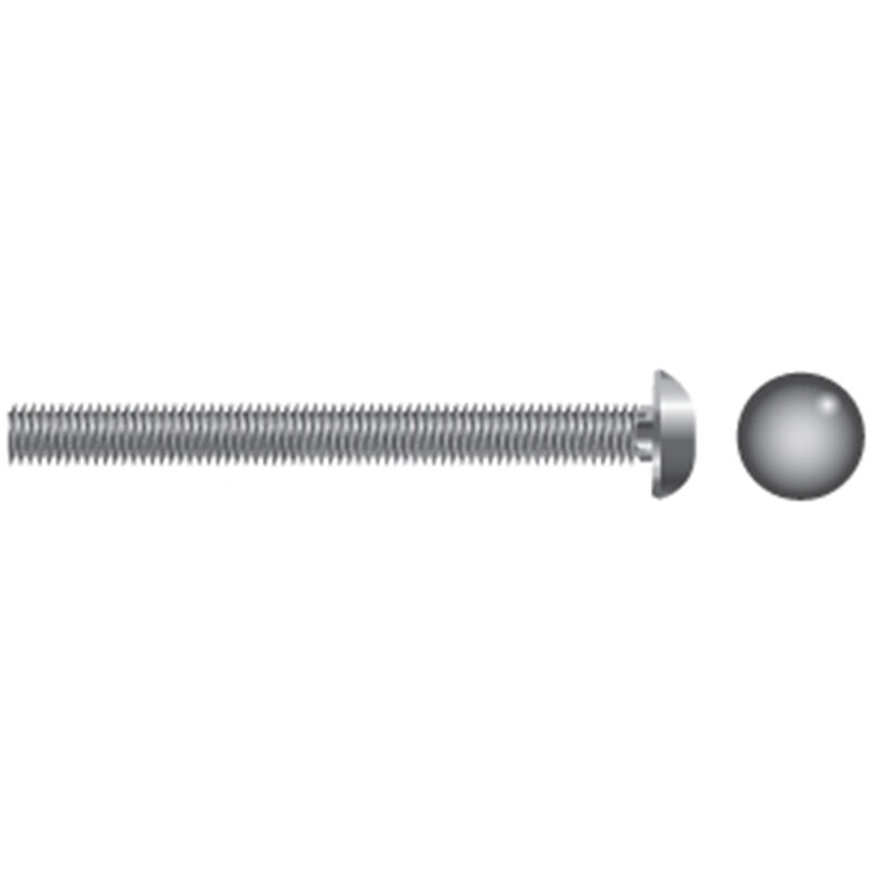 Stainless Steel Carriage Bolts image number 0