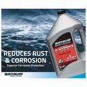 Premium 2-Cycle TC-W3 Outboard Oil, 2.5 Gallons image number 2