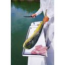 Angler 32" x 14"  Bait/Fillet Table with Levelock Rodholder Mount image number 12