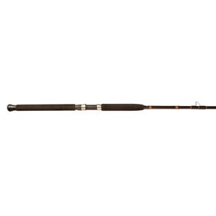 Aerial Boat Conventional Rods with Foul Proof Guides