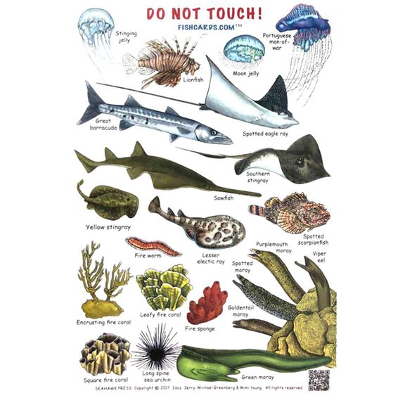 Waterproof Dangerous Creature Identification Card image number 0