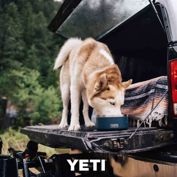 Boomer&trade; 4 Stainless Steel Dog Bowl image number 8