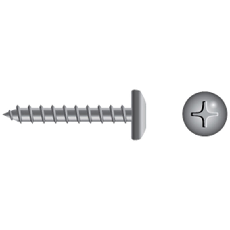 Stainless Steel Phillips Pan-Head Tapping Screws image number 0