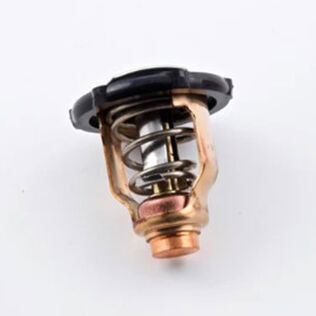Yamaha 6EK-12411-00-00 Thermostat