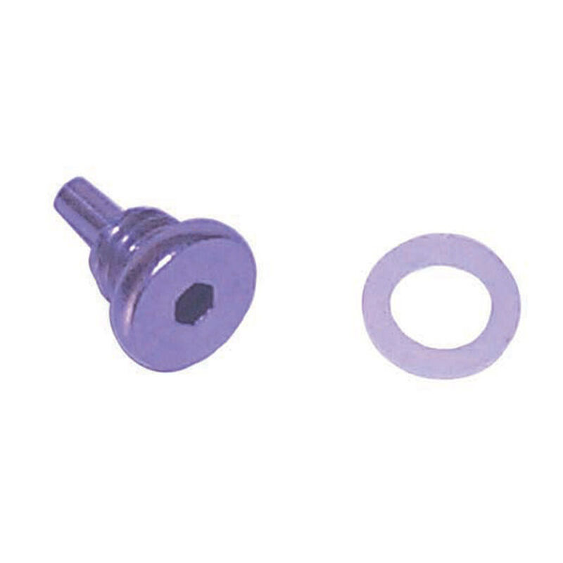 18-4249 E-Tec Lower Unit Drain Screw With Magnet image number 0