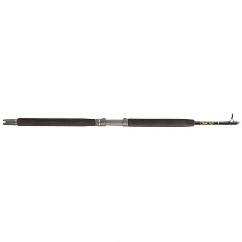 6'6" E-Namic Series Multi Purpose Jigging/Conventional Rod, Heavy Power image number 1