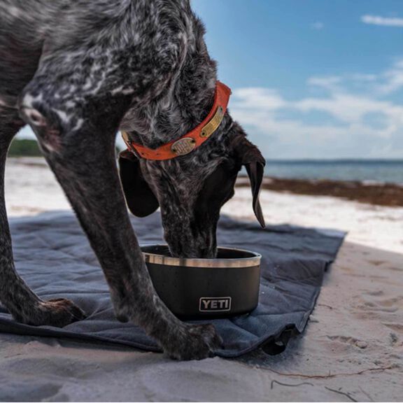 Boomer&trade; 4 Stainless Steel Dog Bowl image number 5