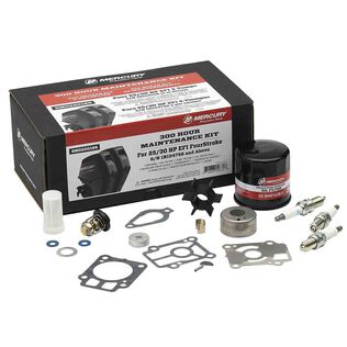 25/30 EFI FourStroke 300 Hour Maintenance Kit