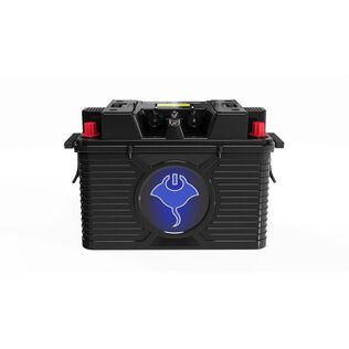 ABYSS&reg; 24V 110Ah NMEA 2000 Dual Purpose Lithium Marine Battery