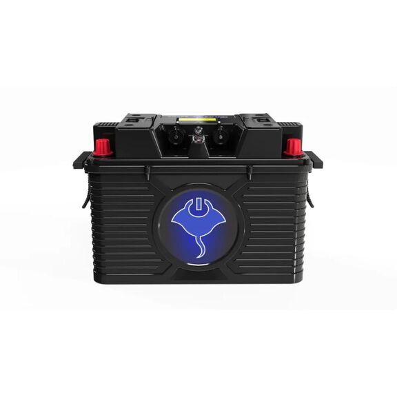 ABYSS&reg; 24V 110Ah NMEA 2000 Dual Purpose Lithium Marine Battery image number 0