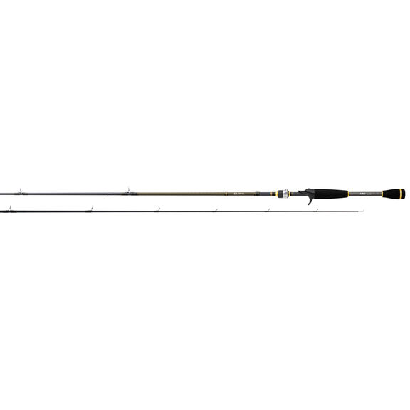 AIRD X Baitcasting Rods image number 0