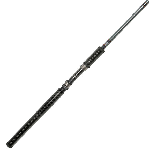 9' SST - Salmon,Steelhead,Trout Spinning Rod image number 0