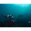 RDS300 Seascooter image number 2