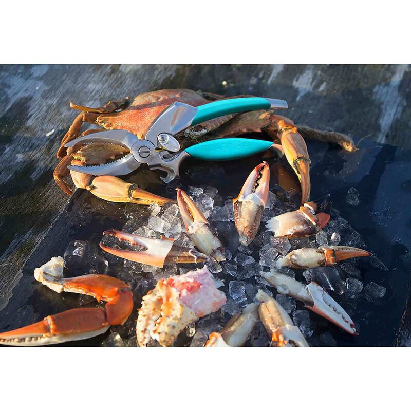 TOADFISH Crab and Lobster Cutter West Marine