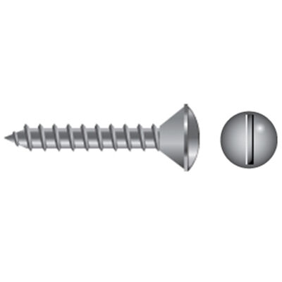 Stainless Steel Slotted Oval-Head Tapping Screws