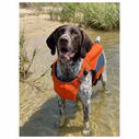 Monterey Bay Offshore Pet Life Jacket, Medium image number 4