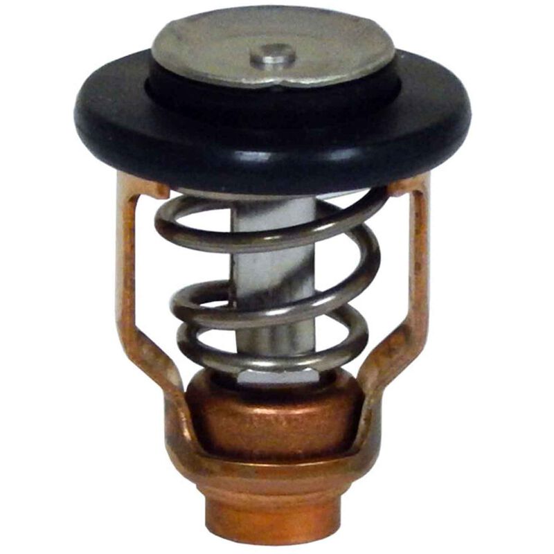 Thermostat 60C for Outboards image number 0