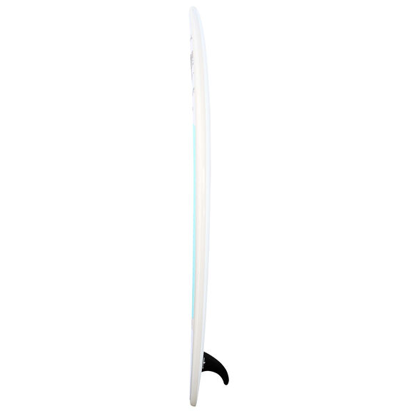BOARDWORKS 10'6