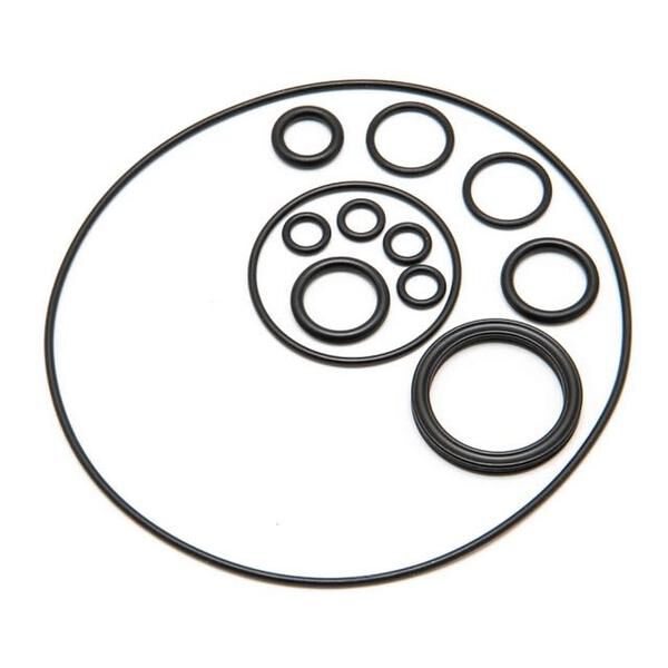 Helm Pump Seal Kit