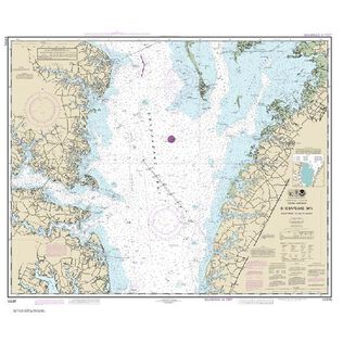 #12226 Chesapeake Bay Wolf Trap to Pungoteague Creek