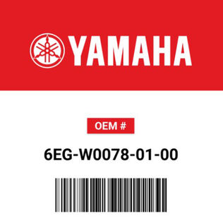 Yamaha 6EG-W0078-01-00 Water Pump Repair Kit