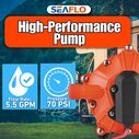 SEAFLO 55-Series Washdown Pump Kit, 12V DC, 5.5 GPM, 70 PSI image number 5