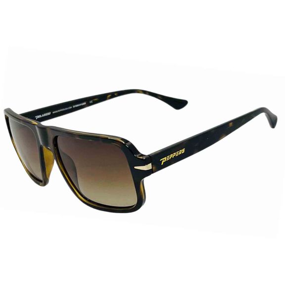 Cape Town Polarized Sunglasses image number 0