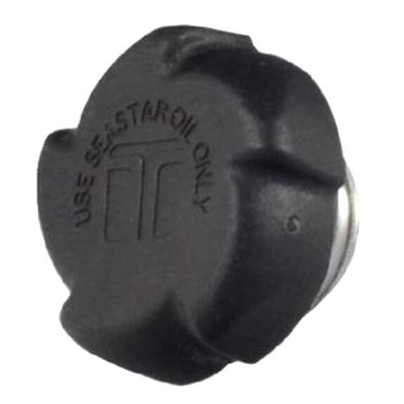 Non Vent Helm Pump Plug image number 0