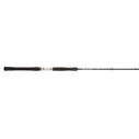 Terez Saltwater Conventional Rods image number 0