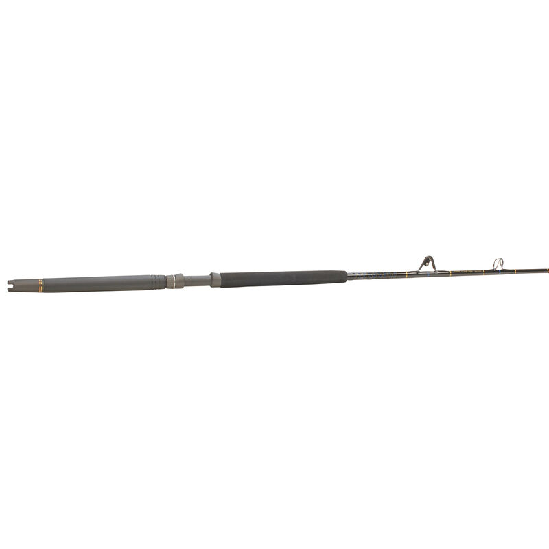 6' E-Series Stand-Up Rod, Medium Power image number 0