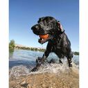 Skipping Stones, 2 Pack, Assorted Colors image number 2