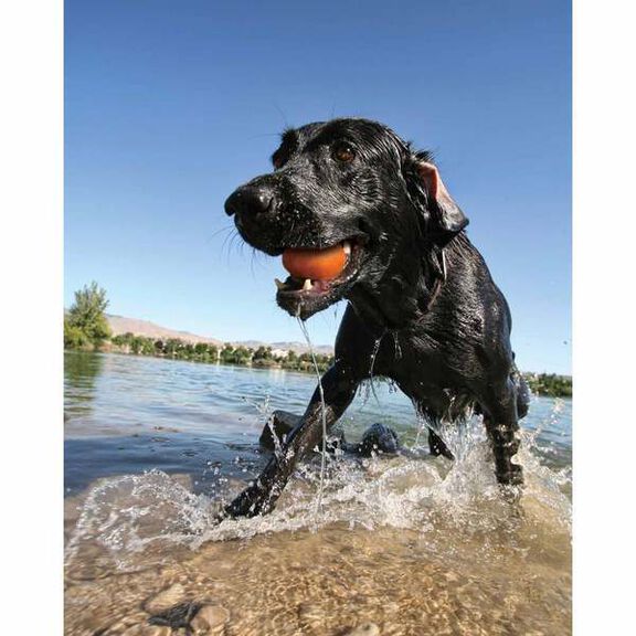 Skipping Stones, 2 Pack, Assorted Colors image number 2
