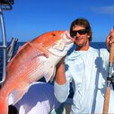 SALTX Spinning Reels image number 1