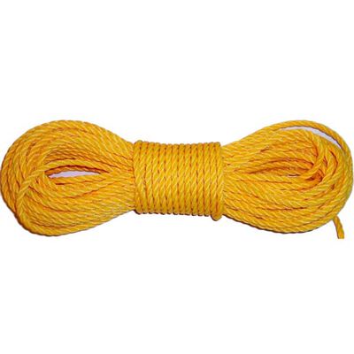 100' 1/4" Twisted Poly Rope