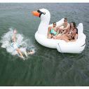 The Biggest Giant Swan image number 4