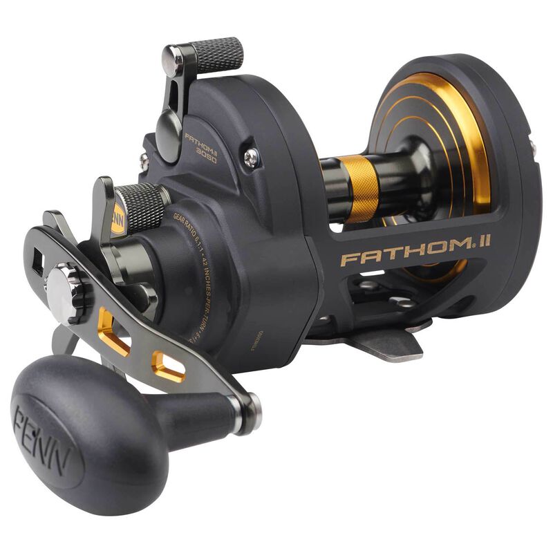 Fathom® II 15 SD Star Drag Conventional Reel image number 0