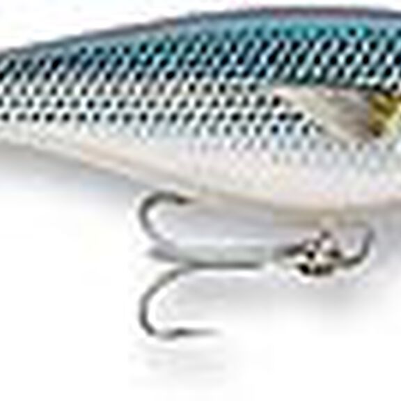 Super Shad Rap 14 image number 8