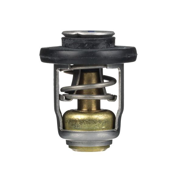 Quicksilver 8M0119207 Replacement Thermostat image number 0