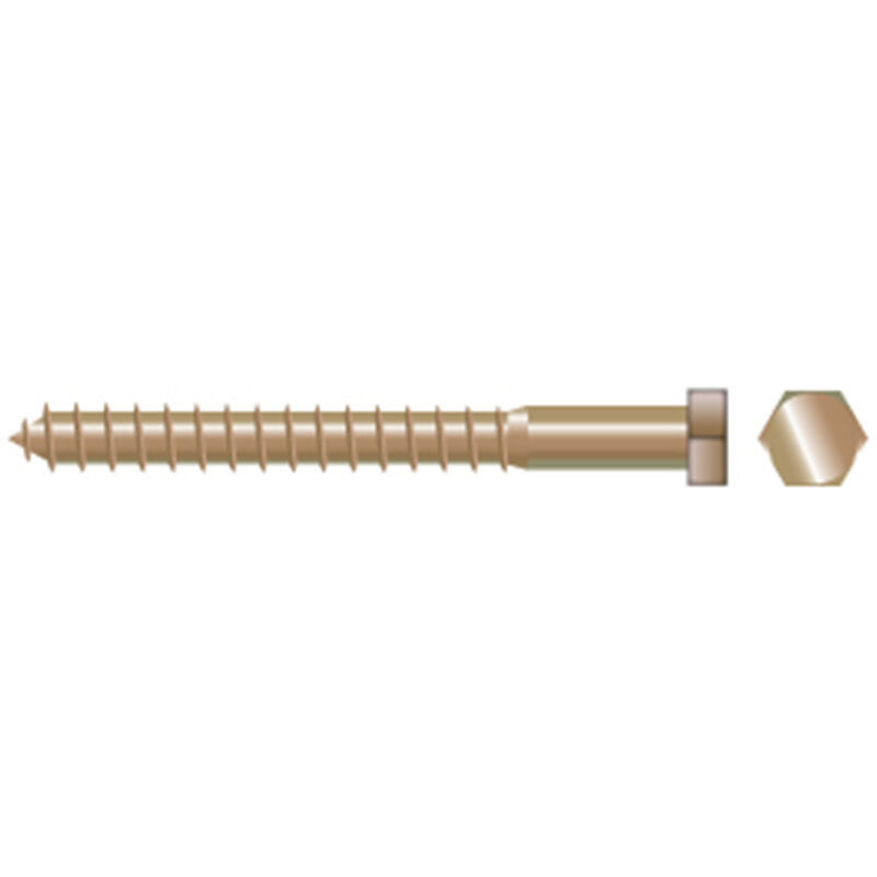 FASCO FASTENER Silicon Bronze Socket Lag Screws West Marine