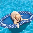 Spring Float Paddle Paws image number 1