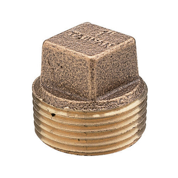 Brass 1/8" NPT Plug image number 0