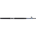 6'6" Tidewater Bigwater Casting Rod, Medium Power image number 0