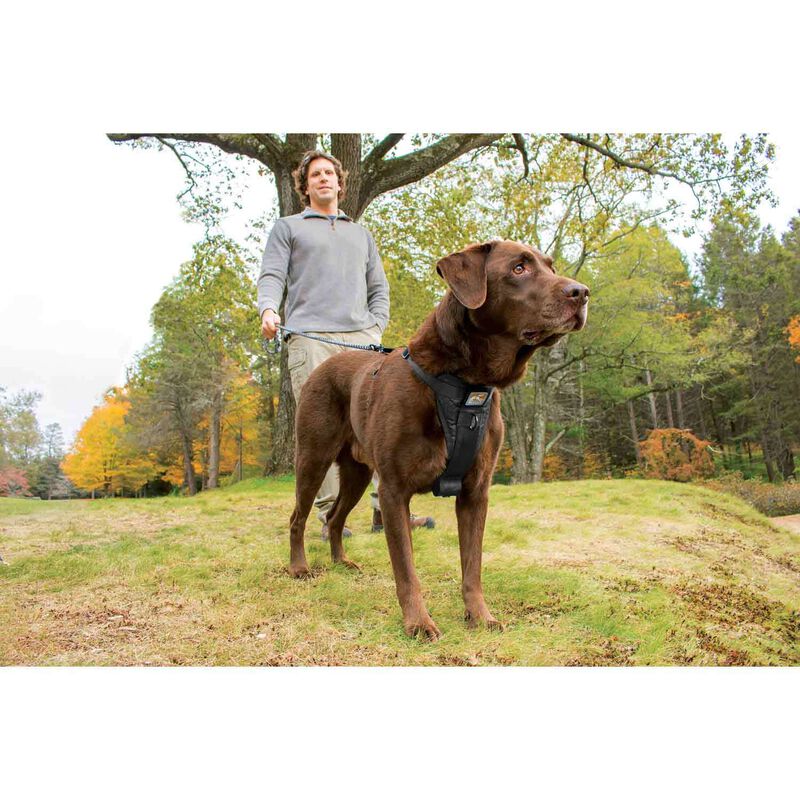 KURGO TruFit Smart Dog Harness, Large West Marine