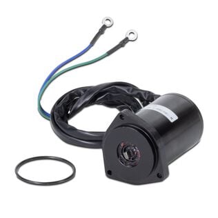 Tilt/Trim Motor, Yamaha