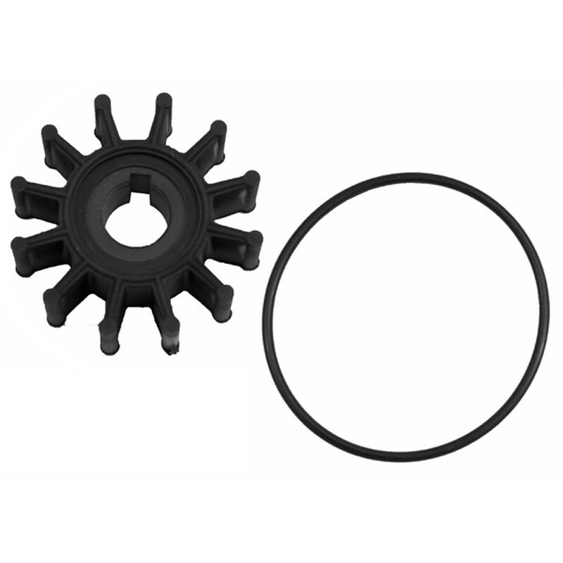 SIERRA 233303 Impeller Kit for Kohler 229826 West Marine