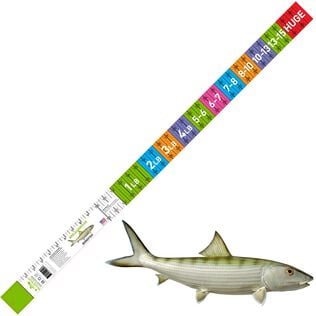 Bonefish Release Ruler 36in x 2in