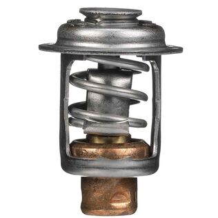 Quicksilver 833072003 Replacement Thermostat