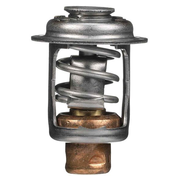 Quicksilver 833072003 Replacement Thermostat image number 0