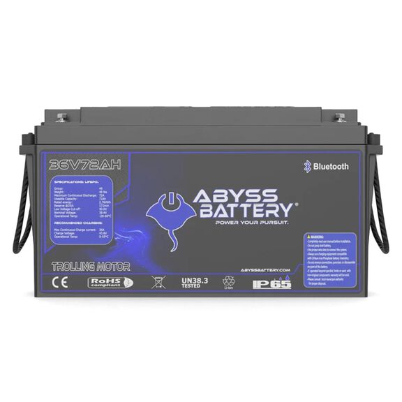 36V 72Ah Lithium Iron Phosphate Group 49 Trolling Motor Battery, Bluetooth Enabled image number 3