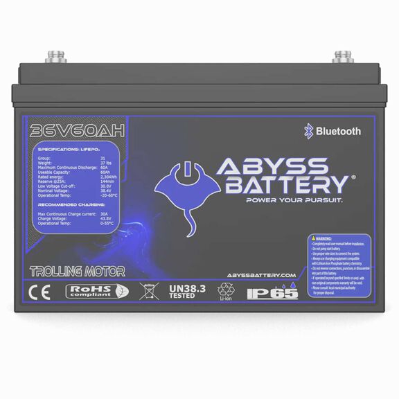 36V 60AH Lithium Iron Phosphate Group 31 Trolling Motor Battery, Bluetooth Enabled image number 3
